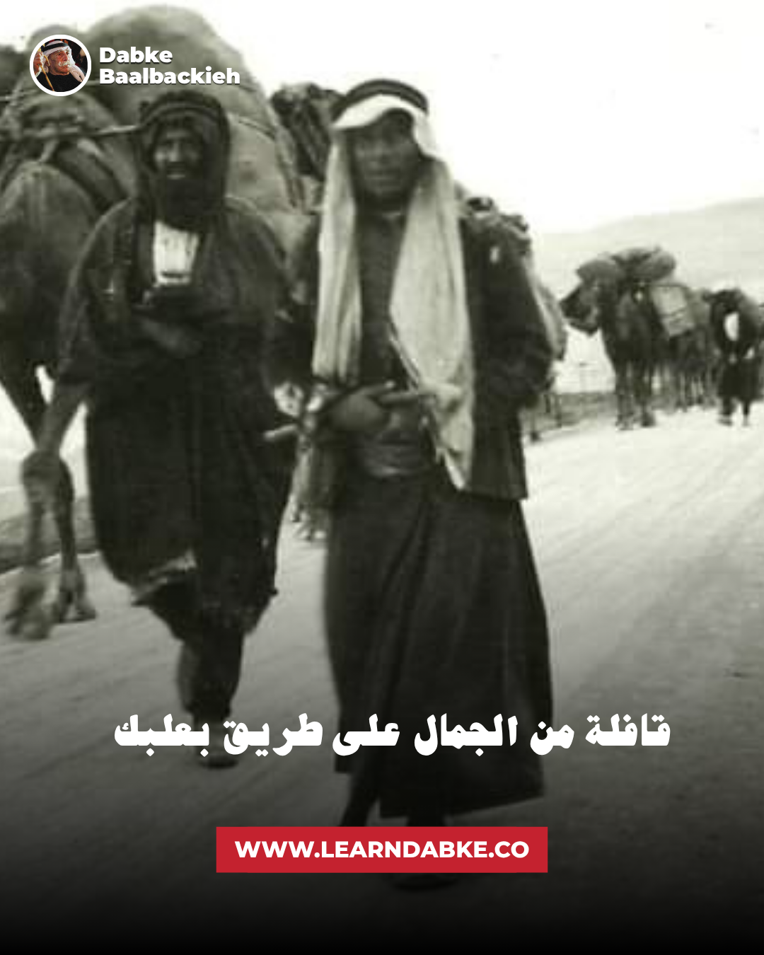 قافلة من الجمال على طريق بعلبك